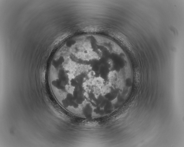 X0000111440491200908031355