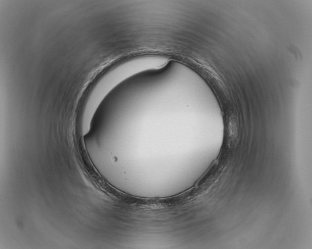 X0000111440492200908031355