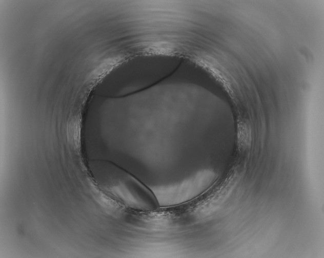 X0000111440493200908031355