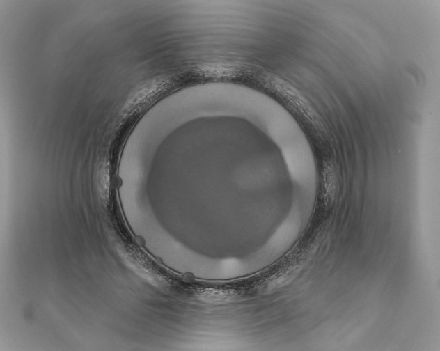 X0000111440494200908031355