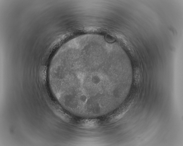 X0000111440495200908031355