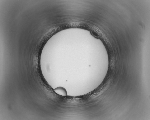 X0000111440497200908031355