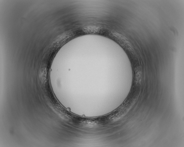 X0000111440498200908031355