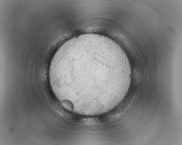 X0000111440499200908031355