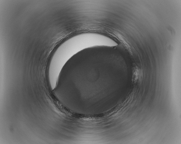 X0000111440500200908031355