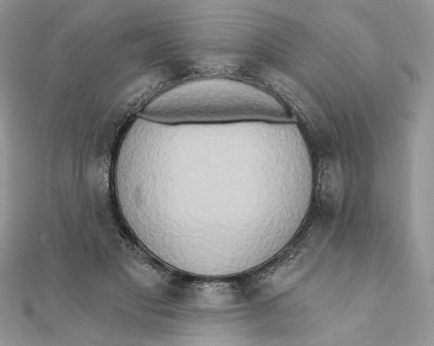 X0000111440501200908031355