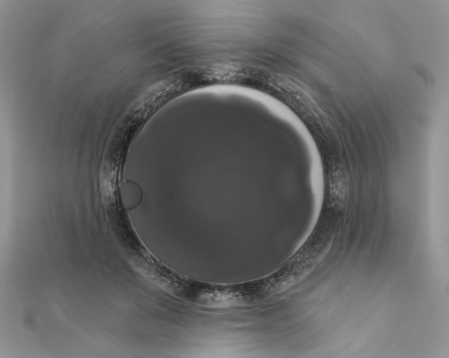 X0000111440503200908031355