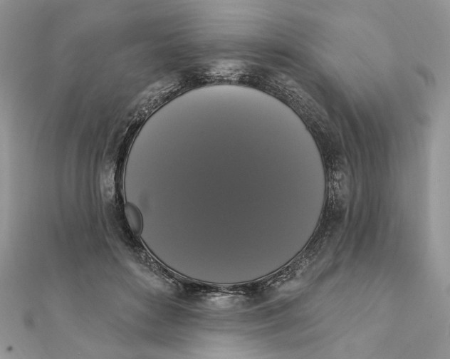 X0000111440504200908031355