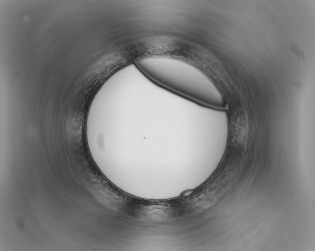 X0000111440505200908031355