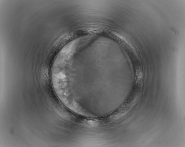 X0000111440506200908031355