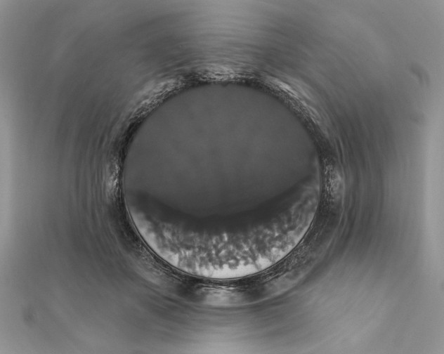 X0000111440507200908031355