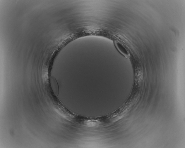 X0000111440508200908031355