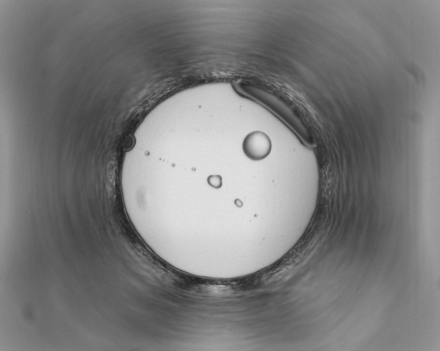 X0000111440509200908031355