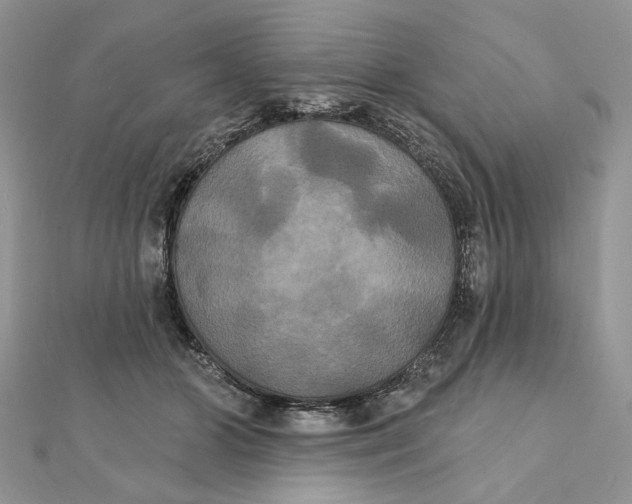 X0000111440510200908031355