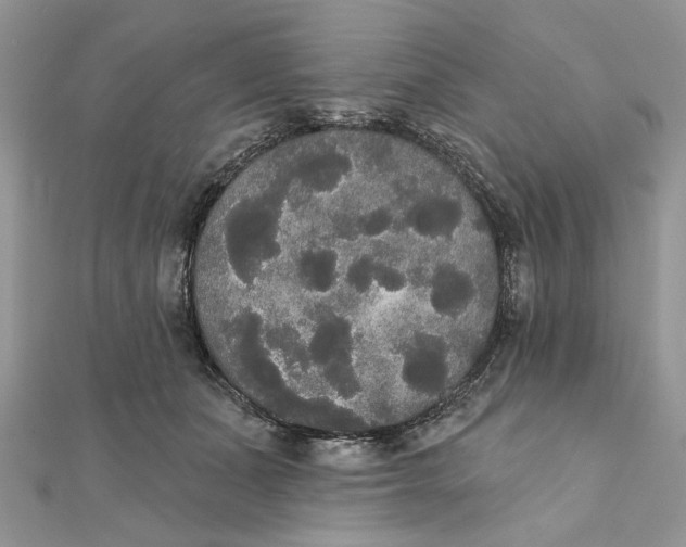 X0000111440511200908031355