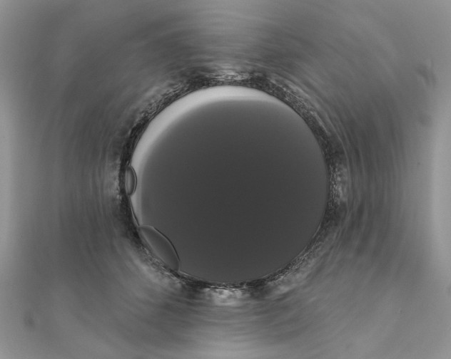 X0000111440512200908031355