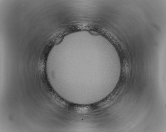 X0000111440513200908031355