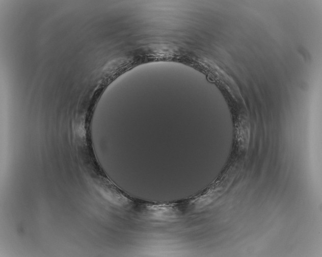 X0000111440516200908031355