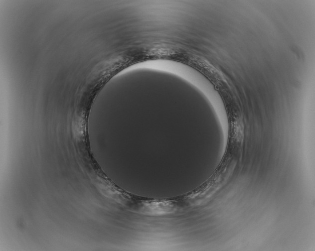 X0000111440517200908031355