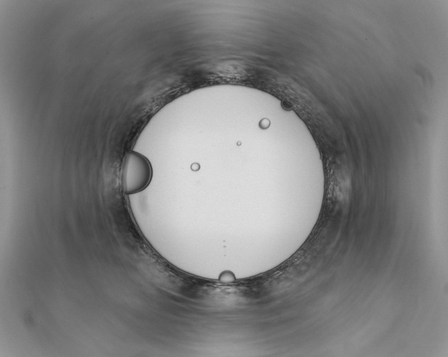 X0000111440518200908031355