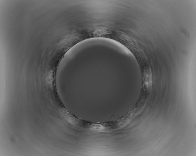 X0000111440519200908031355