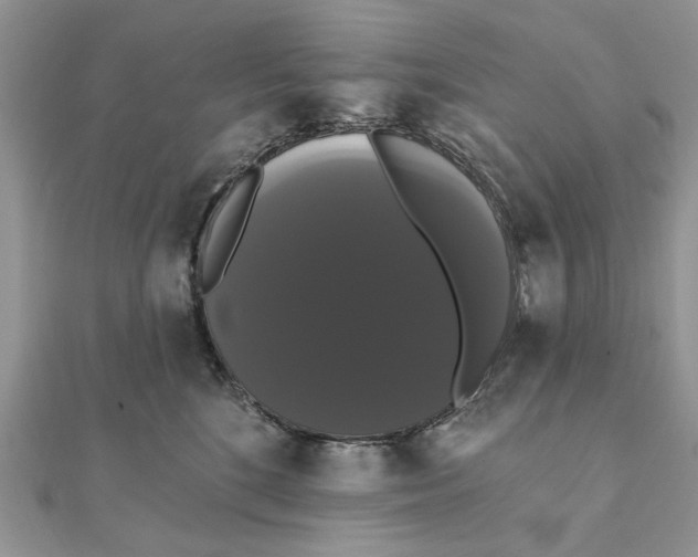 X0000111440520200908031355