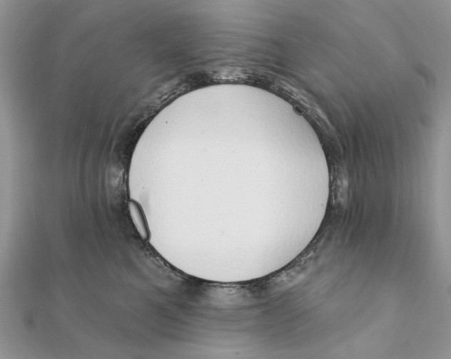 X0000111440521200908031355