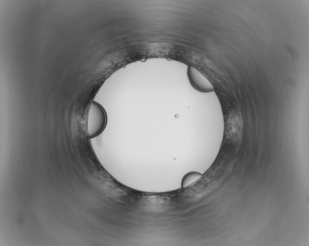 X0000111440522200908031355