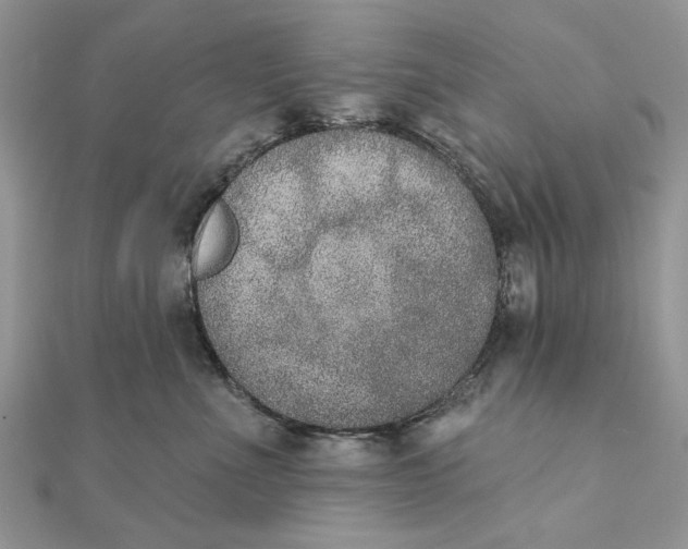 X0000111440523200908031355