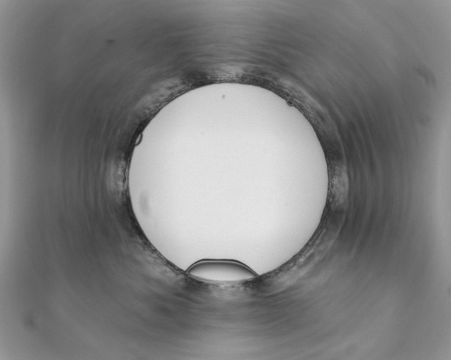 X0000111440525200908031355