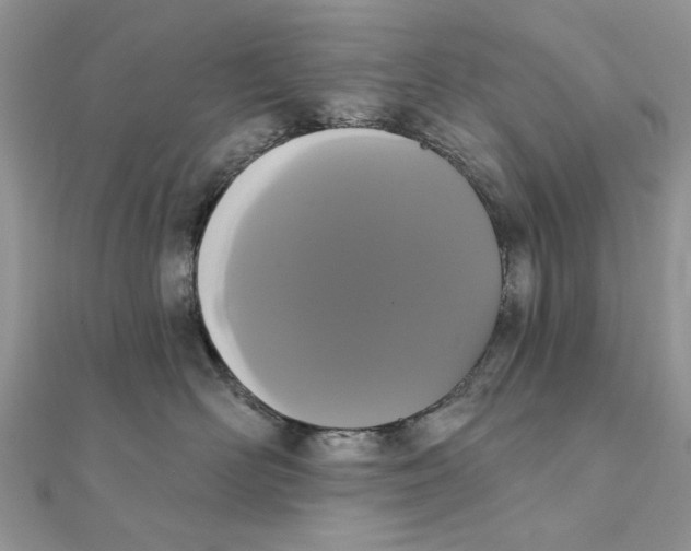 X0000111440526200908031355