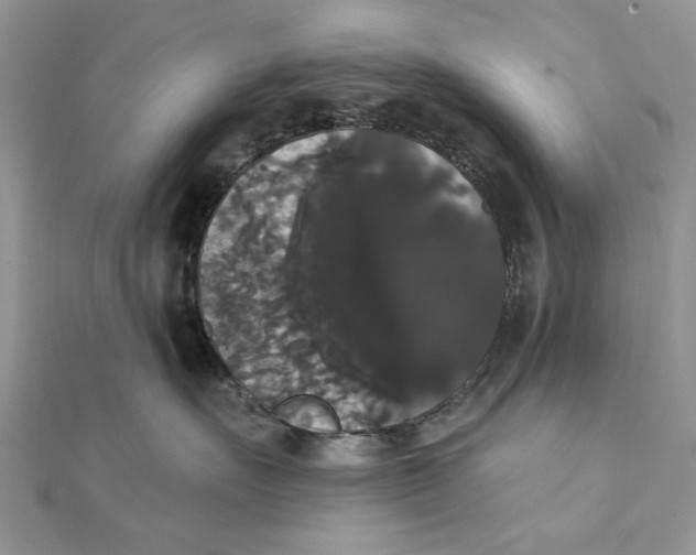 X0000111440527200908031355