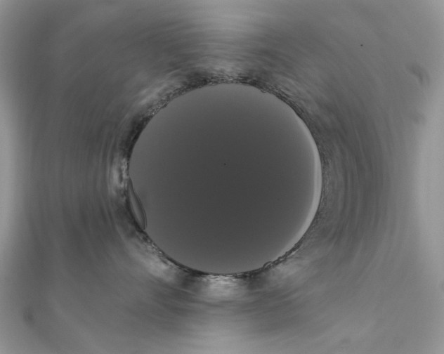 X0000111440528200908031355