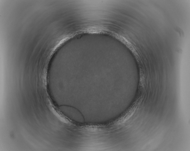 X0000111440530200908031354