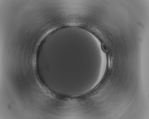 X0000111440531200908031354