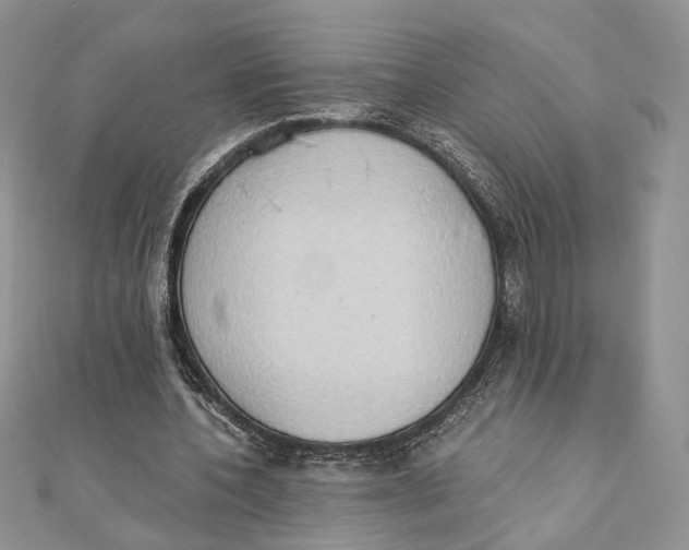 X0000111440532200908031354