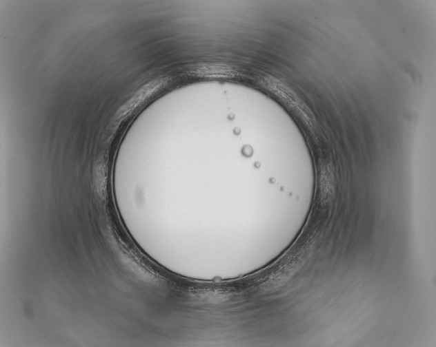 X0000111440533200908031354