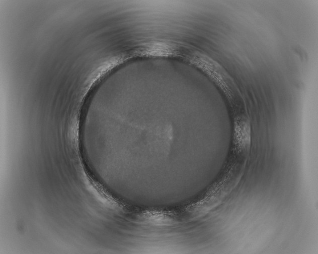 X0000111440534200908031354