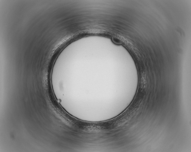 X0000111440535200908031354