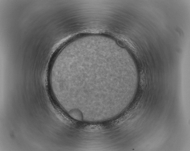 X0000111440536200908031354