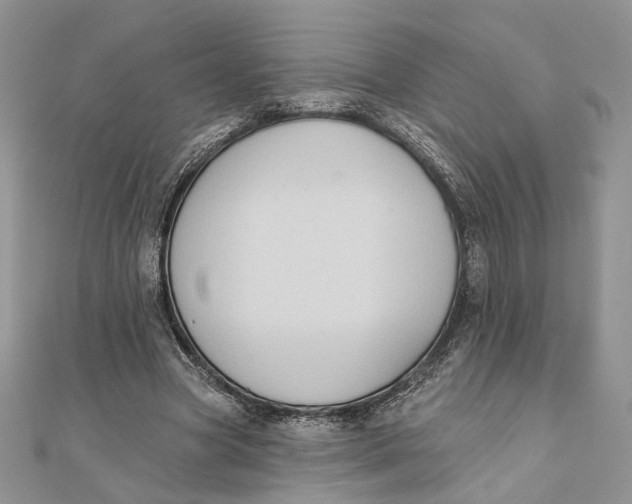 X0000111440537200908031354