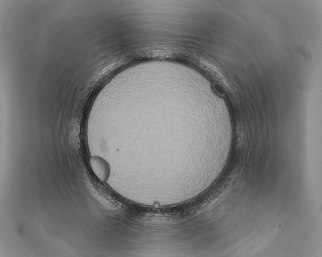 X0000111440538200908031354