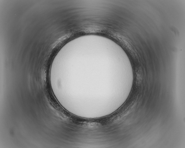 X0000111440539200908031354