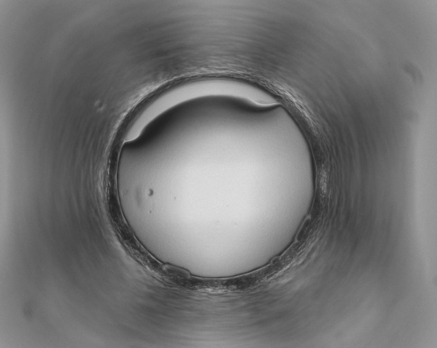 X0000111440540200908031354