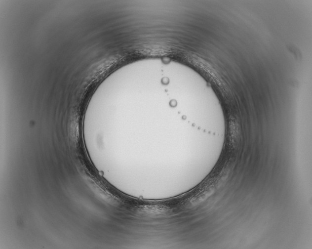 X0000111440541200908031354