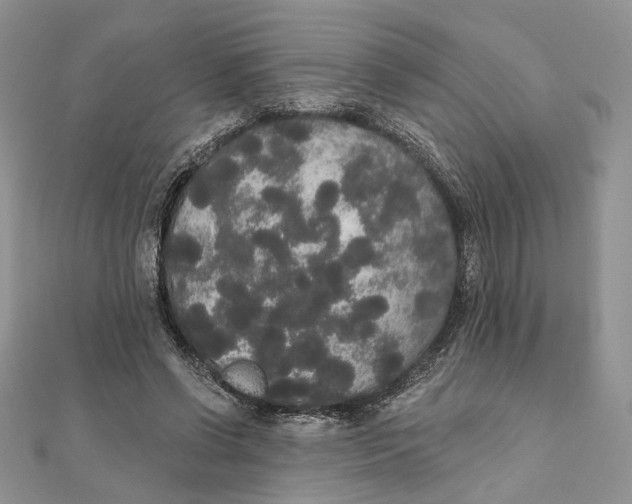 X0000111440542200908031354