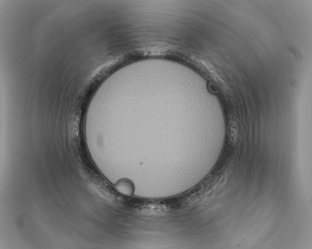 X0000111440543200908031354