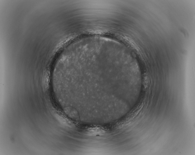 X0000111440544200908031354