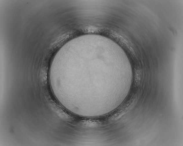 X0000111440545200908031354