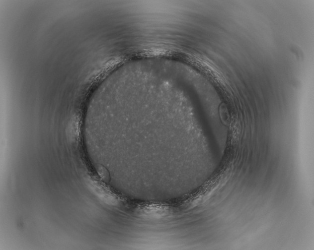 X0000111440546200908031354